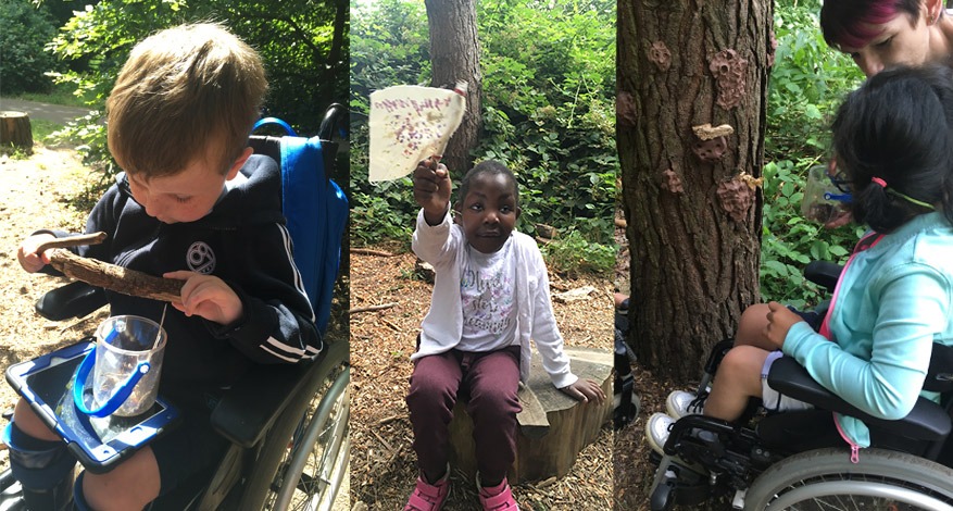 Children at Holy Lodge Centre learning about nature