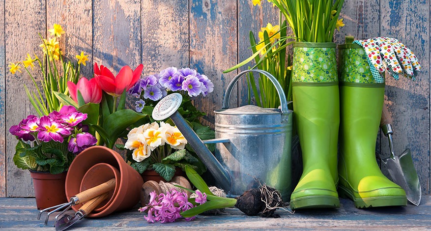 Gardening tools at Bright Star Welllbeing to promote good mental health