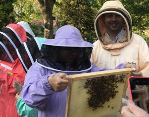 People bee-keeping at bee urban charity