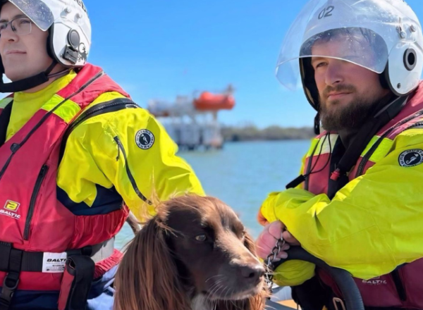 Two people in high vis and helmets with brown spaniel on lifeboat